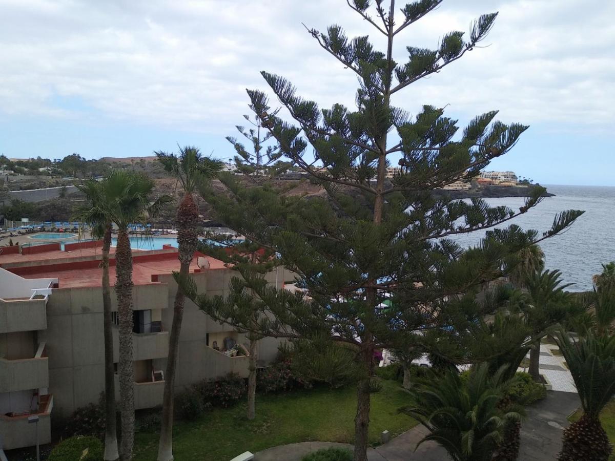 ארונה Garden View Apartment In Las Galletas מראה חיצוני תמונה